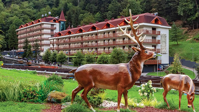 Deamed Maritime Hospital Batumi